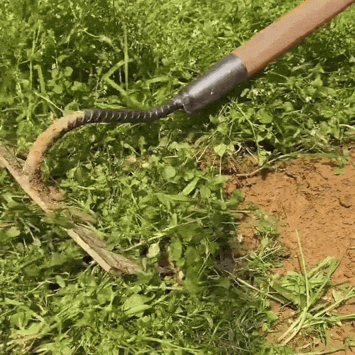 Garden Like a Pro